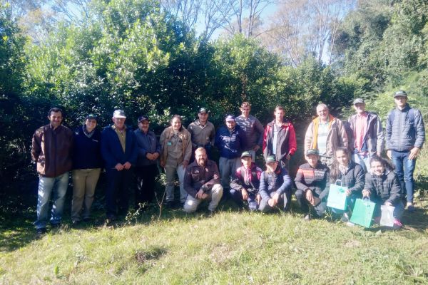 capacitacion-cosecha-yerba-mate-misiones-inym
