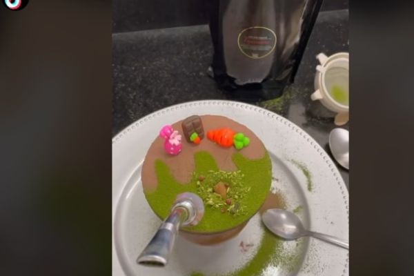 mate cimarrao brasil decorado captura pantalla tik tok