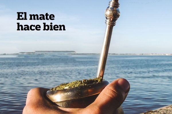 el-mate-ayuda-a-bajar-colesterol-malo
