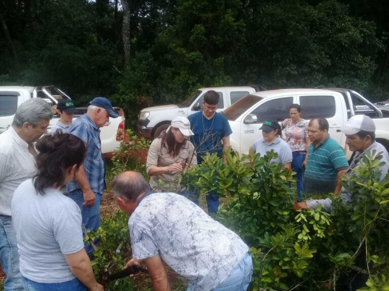 cosecheros y productores de yerba mate aprendiendo inym