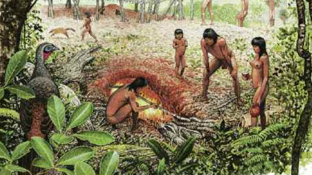 guaranies en la selva misionera libro caa pora de navajas artaza