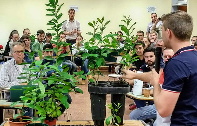 pequeñas plantas de yerba mate ba mate-charla-segunda_jornada_divulgacion_cientifica_produccion_argentina2