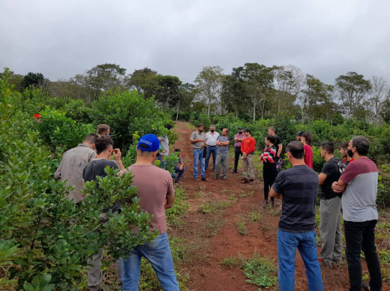 capacitaciones_para-cosecheros-productores-yerba-mate-en-argentina