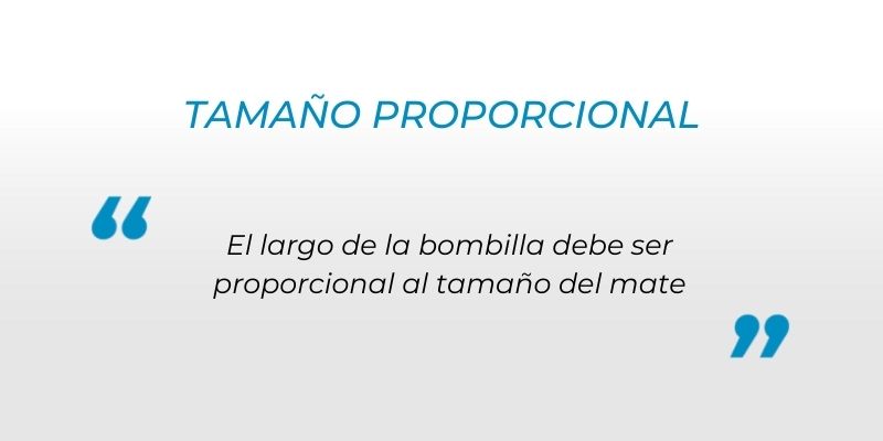 consejo-para-elegir-tamaño-bombilla-tomar-mate