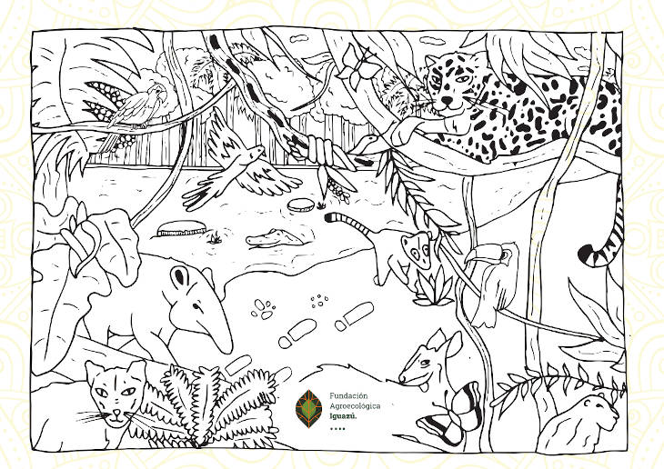 La flora y la fauna de la Selva Misionera_fundacion-agroecologica_iguazu-para-pintar