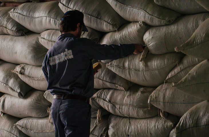 control-calidad-bolsas-yerba-mate-para-estacionar-en-desposito-amanda-argentina