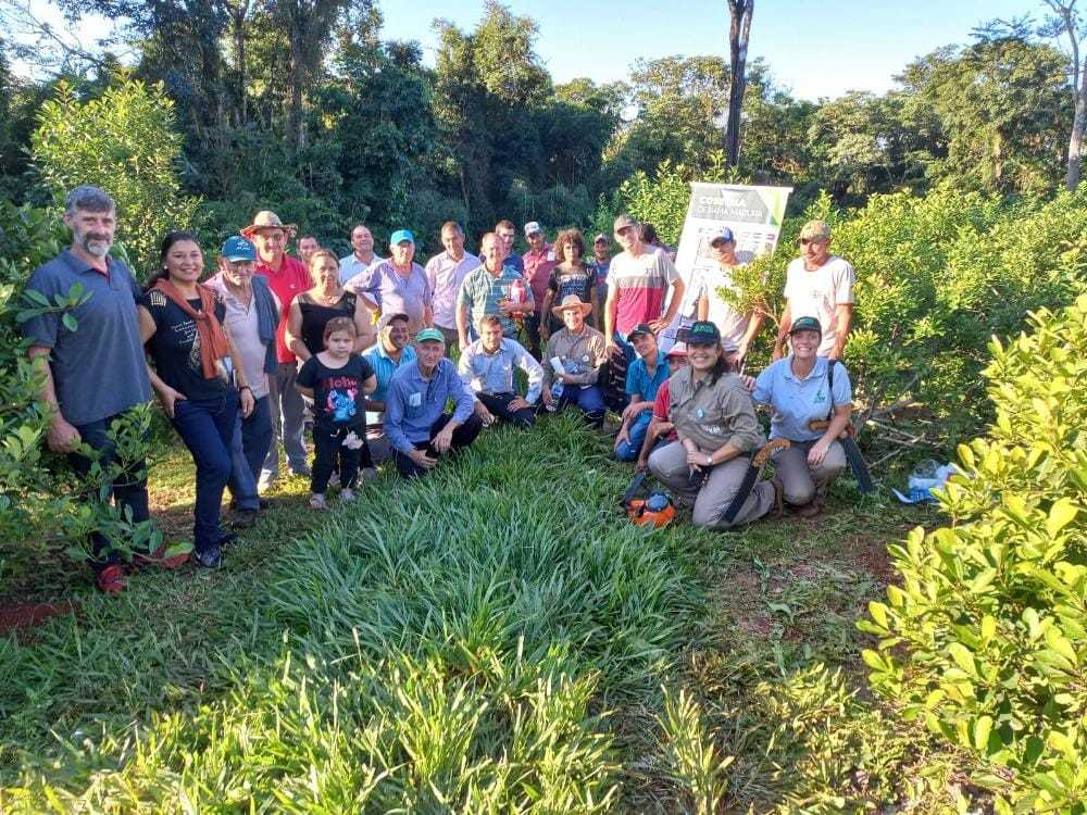 productores-cosecheros-yerba-mate-argentina-capacitacion