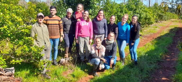 alumnos en plantacion yerba mate