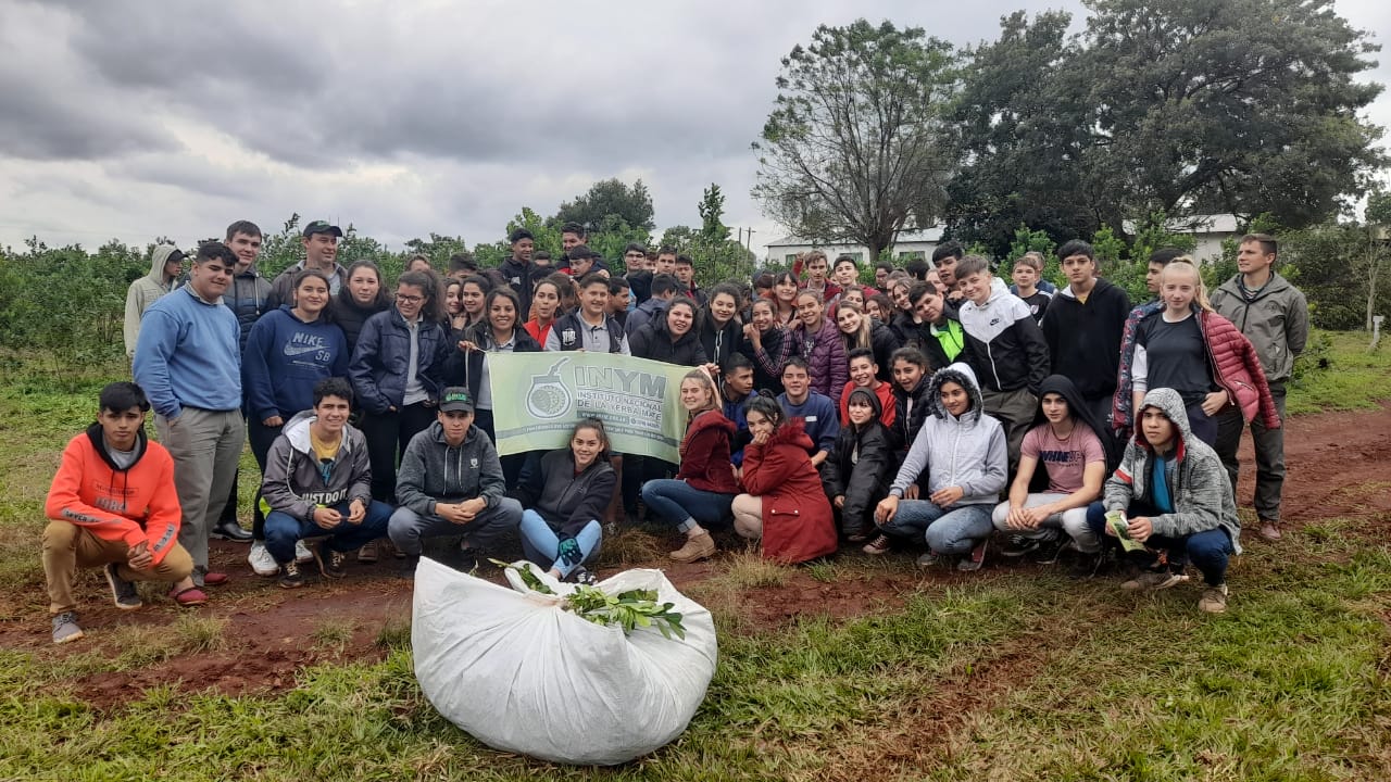 grupo de estudiantes capacitacion yerba mate en argentina