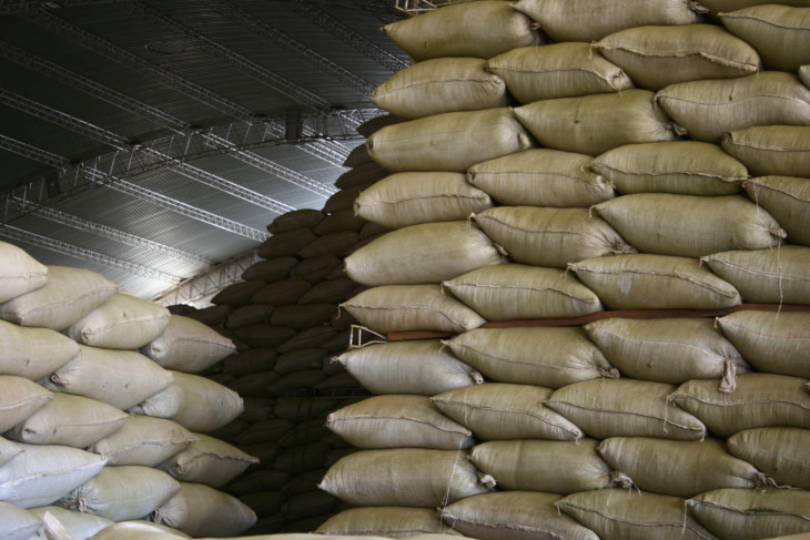 bolsas-yerba-mate-canchada-estacionamiento