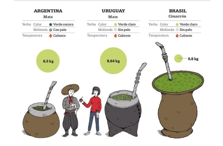 consumo-por-habitante-mate-argentina-brasil-paraguay.