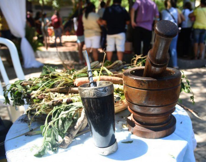 mesa-con-guampa-para-terere-hierbas-medicinales-y-motero