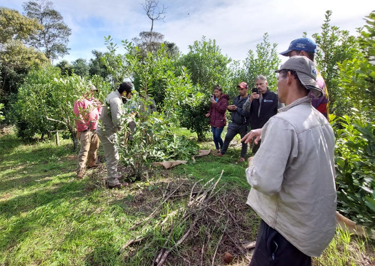 tecnico capacitando a productores yerba mate