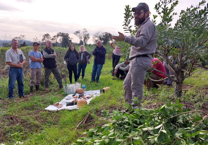 tecnico-yerba-mate-capacita-a-productores-en-yerbal