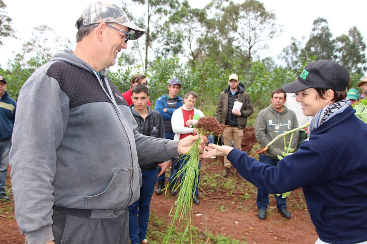 capacitacion-productores-yerba-mate