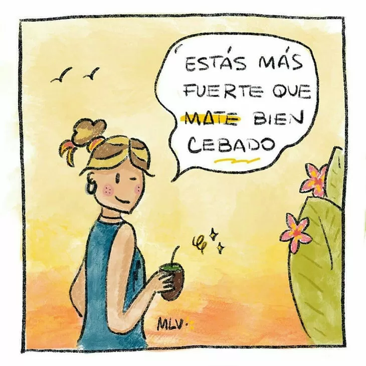 estas-mas-fuerte-que-mate-bien-cebado-refran