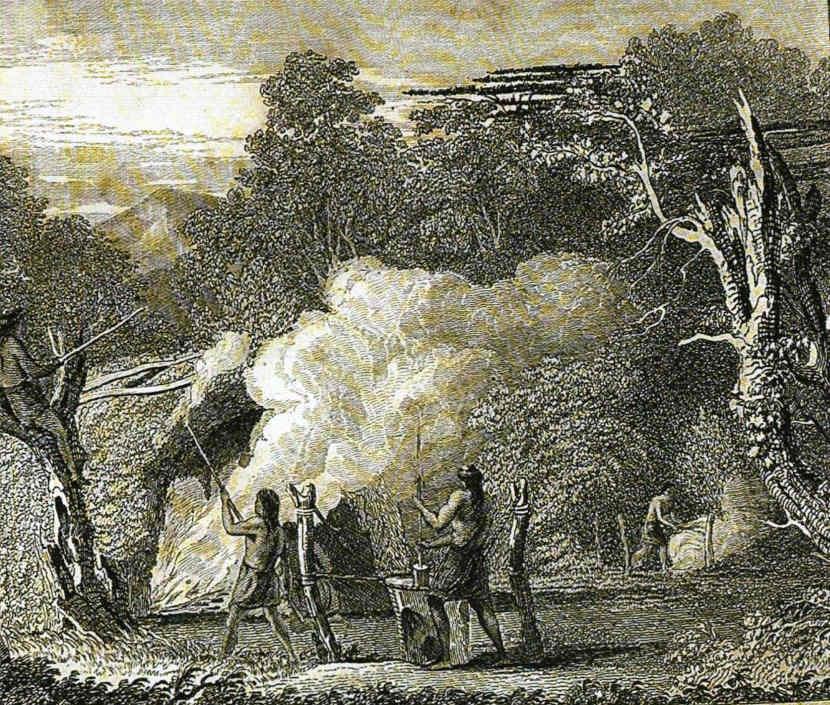 guaranies-produciendo-yerba-mate-en-barbacua-1839