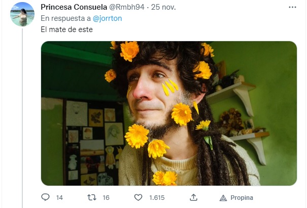 tweet-mate-viral-con-flores-maceta