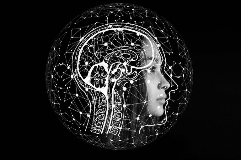 cerebro-humano-ilustracion