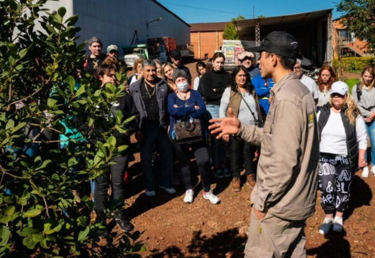 guia-explica-turista-planta-yerba-mate-jardin-america-misiones