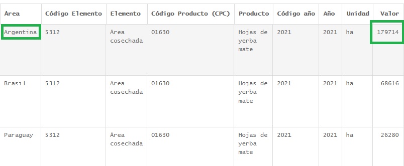 hectareas-yerba-mate-cultivada-2021-argentina-brasil-paraguay