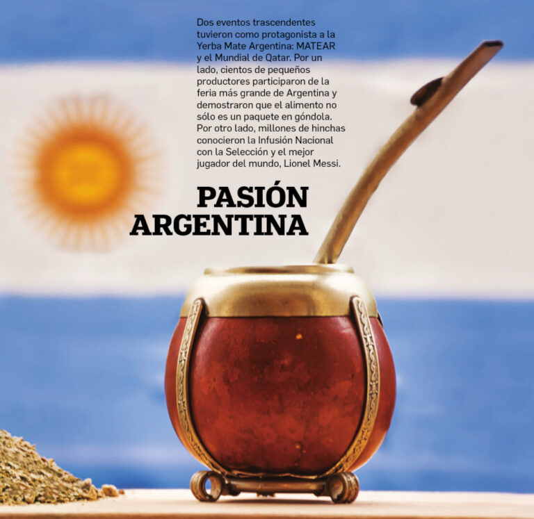 mate-argentino-bandera-pasion-nacional