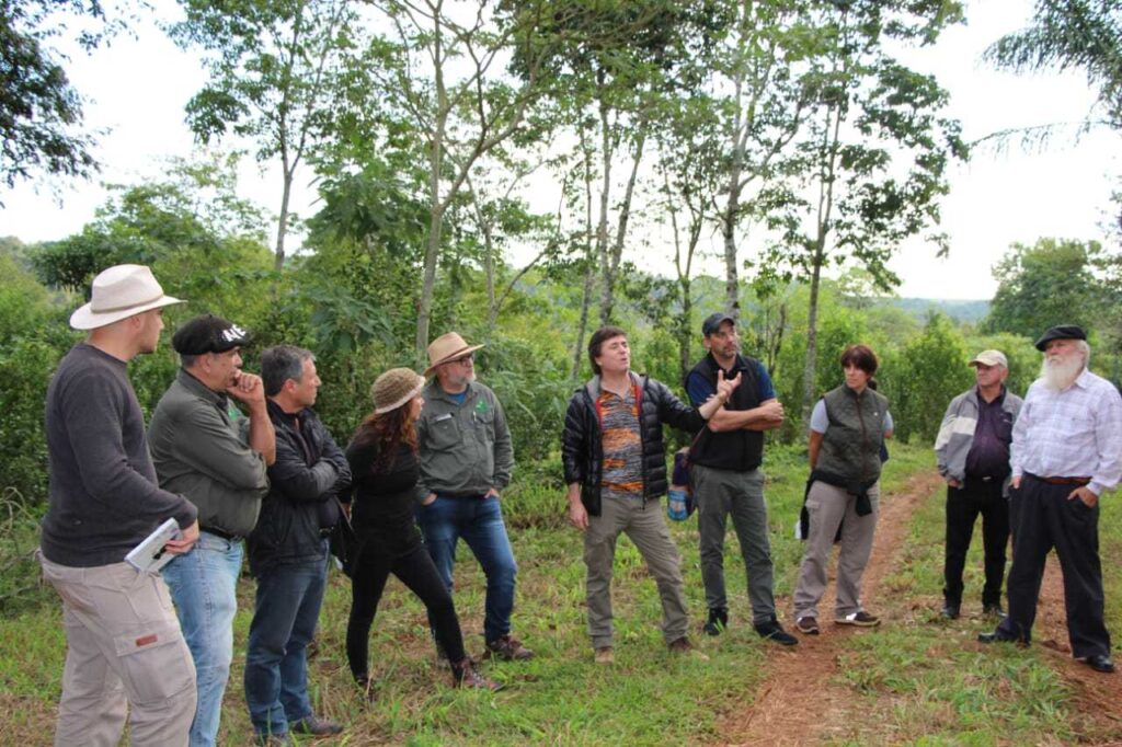 dejabu-reserva-capacitacion-yerba-mate-agroecologia