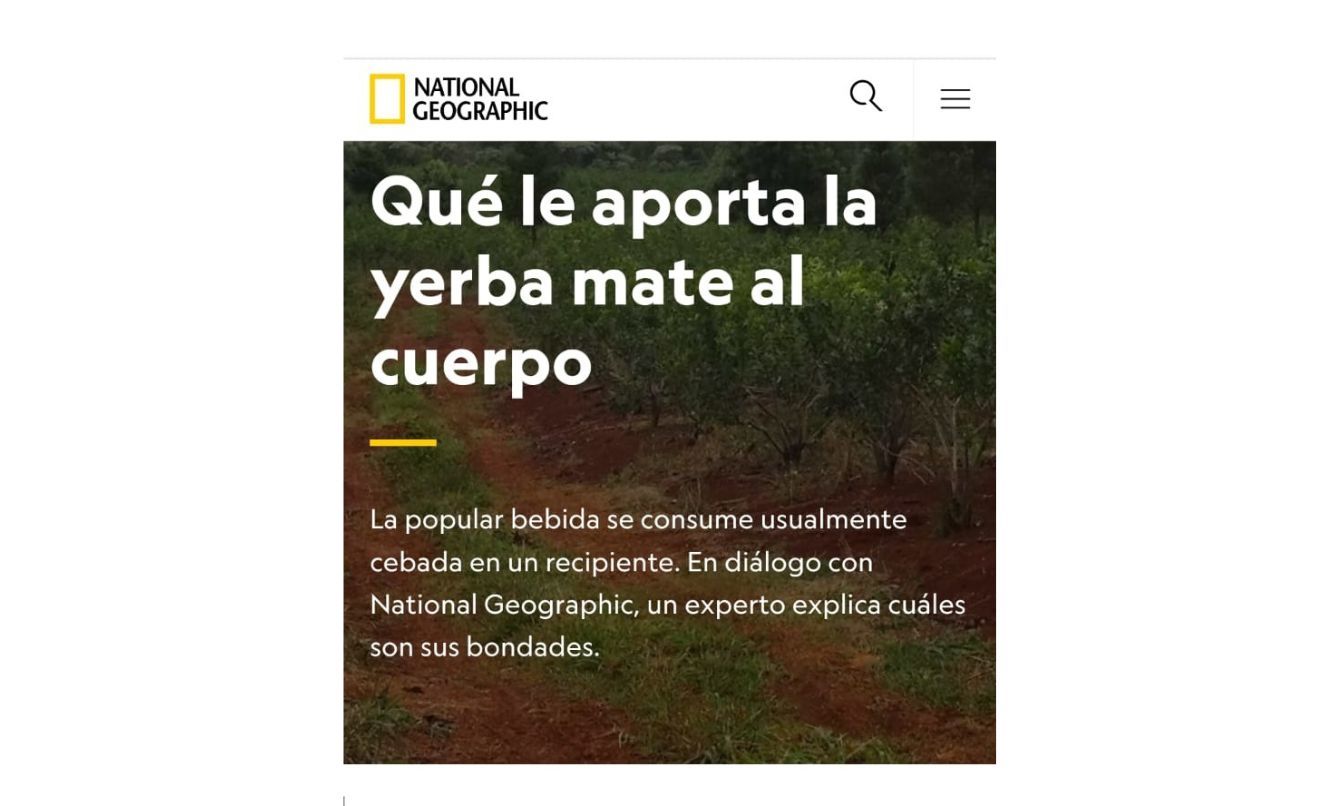 aporte-mate-al-cuerpo-national-geographic