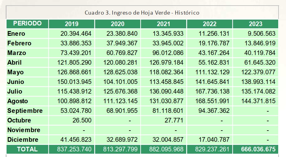 cosecha-yerba-mate-agosto-2023-argentina