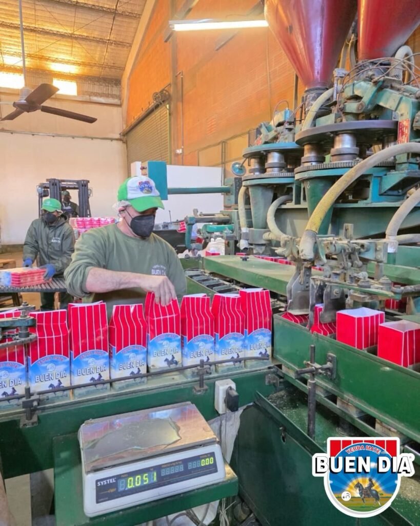 hombre-envasando-yerba-mate-molino-buen-dia-marca