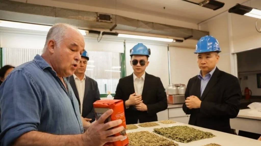 vista-embajador-chino-las-marias-yerba-mate