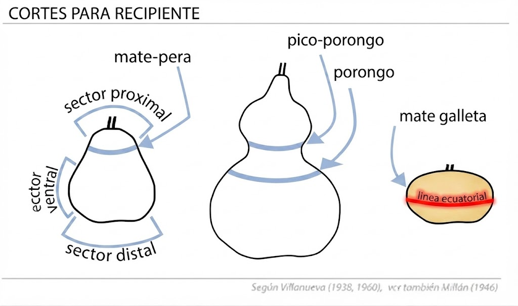 cortes-del-porongo-mate-tipo-galleta-pera-criollo