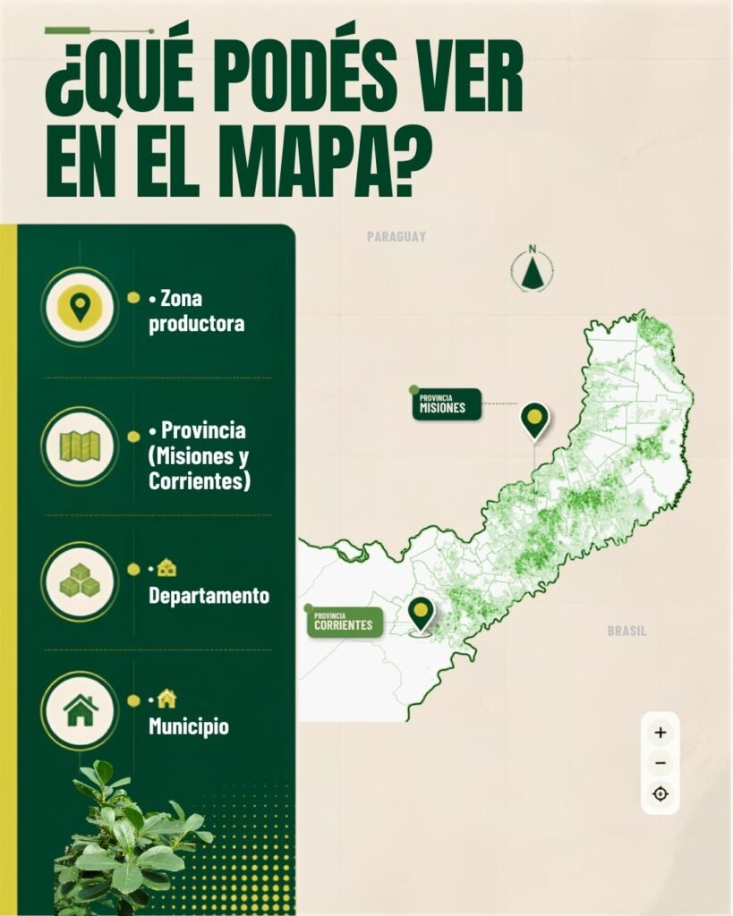 zonap-productora-provinicas--detpos-municipio-inym-mapa-productivo