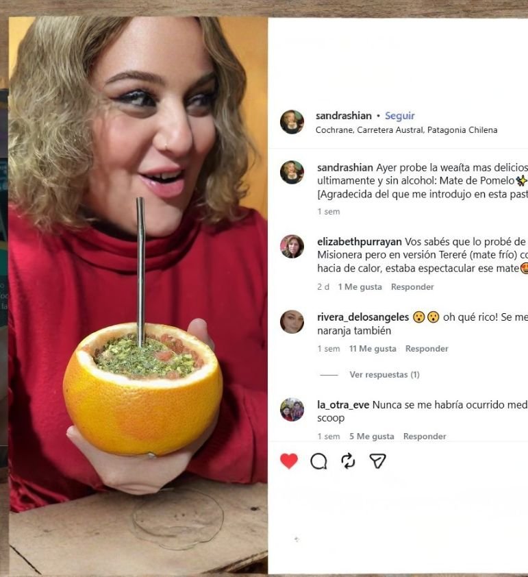 sandrashian-tutorial-mate-pomelo